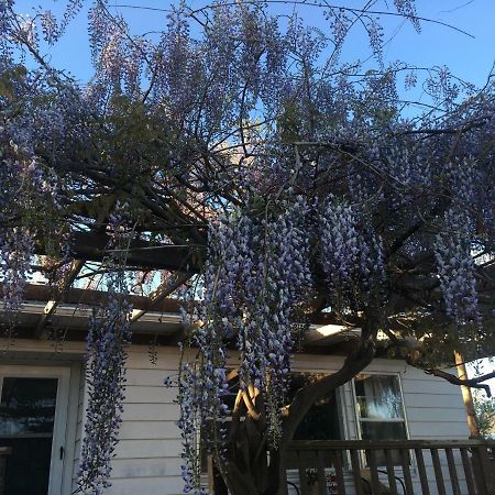 Wisteria Vine Cottage Monticello Ngoại thất bức ảnh